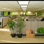 12 Security Tips For Safer Businesses